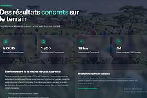 Site vitrine pour une ONG locale – section-about-4