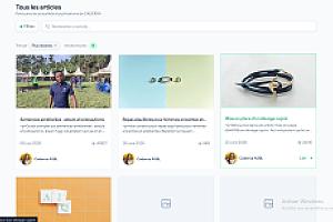 Site vitrine pour une ONG locale – section-blog