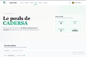 Site vitrine pour une ONG locale – section-blog-hero