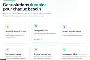 Site vitrine pour une ONG locale – section-domain